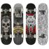 Skateboard MASTER Extreme Board