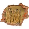 3D fototapeta, Surikaty, 125 x100cm