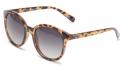 Vans okuliare Rise and Shine tortoise Velikost: UNI