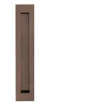 JNF - Mušľa IN.16.416 bez otvoru