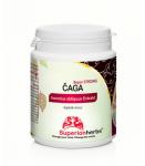 Čaga, 100% Sibírska čaga - Superionherbs, 90 kps x 500 mg