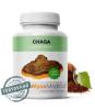 Chaga, MycoMedica, 90 kps x 500 mg