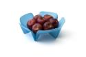 Misa na ovocie Qualy Flower Fruit Tray, malá, modrá