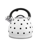 Kanvica na varenie vody Promis TMC-08B - CARMEN, 3,0L