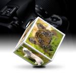 Rotujúci fotorámik biely, 10cm