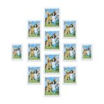 Sada 12 obrázkových rámov RD0660, biela