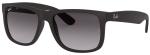 Ray-Ban RB4165 601/8G - M (55-16-145)