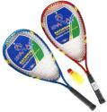 Speed Badminton Spartan set