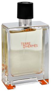Hermes Terre D Hermes - EDT TESTER 100 ml