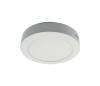 LED Stropné svietidlo LED/12W/230V 3000K