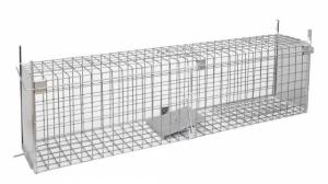 IBO Pasca na líšku a jazveca 66917