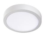 33541 - LED Stropné svietidlo CARSA LED/24W/230V 4000K biela pr. 30 cm