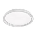 Stropné LED svietidlo Dua, stmievateľné, Ø 43 cm