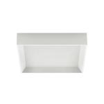 Stropné LED svietidlo Tara Q, hranaté 30 x 30 cm