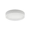 Stropné LED svietidlo Tara okrúhle Ø 31 cm