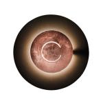 Knikerboker DoppioZero nástenné svetlo káva/meď