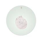 Foscarini Gioia grande nástenné Ø 68 cm zelená