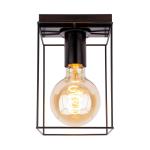 Stropné svietidlo Trap, čierna, 1-plameňové