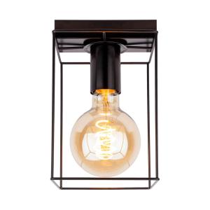 Stropné svietidlo Trap, čierna, 1-plameňové