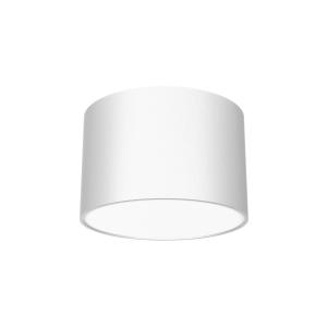 Stropné svietidlo Cloudy 1-plameňové biela