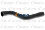 VAICO Hadica chladenia V10-4813